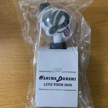 WANIMA DANSHI LIVE TOUR 2025 응원봉