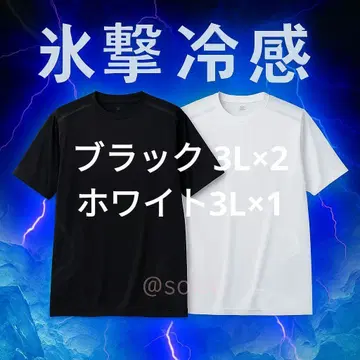 빙격 냉감 블랙 2L x 2 화이트 3L x 1 묶음 의뢰품