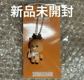 RIIZE 성찬 SUNGCHAN 러버 키링 미개봉 새상품