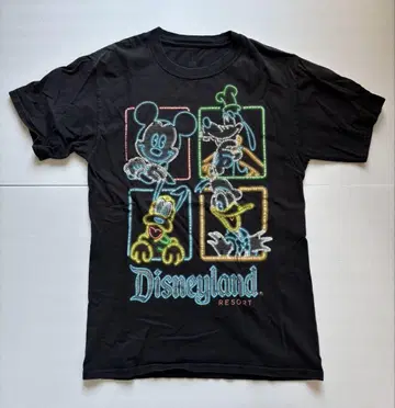 Disneyland Resort 'Neon Characters'