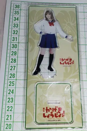 무대 카게키쇼죠 아크릴 스탠드 호시노 카오루