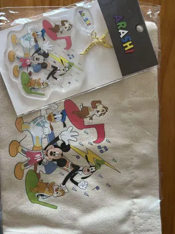 ARASHI 아라시 Disney