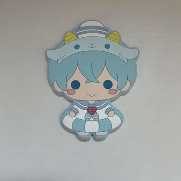 STPR 코론 실리콘 거울