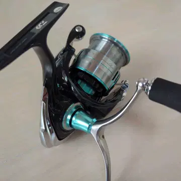 다이와 19 에메랄다스 LT 3000S-C-DH DAIWA