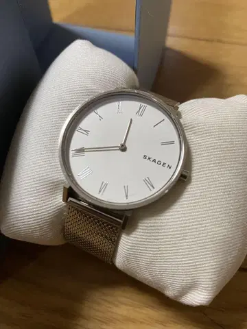 스카겐 실버 메쉬 손목시계