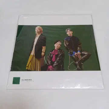 LP 사이즈 사진 포스터 Mrs. GREEN APPLE 10