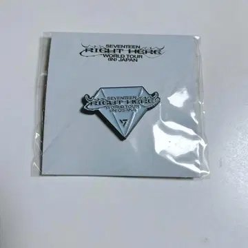 SEVENTEEN RIGHT HERE JAPAN 핀 배지 핀즈 오사카