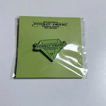 SEVENTEEN RIGHT HERE JAPAN 핀 배지 핀즈 후쿠오카