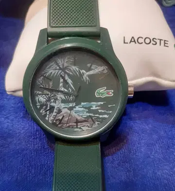 LACOSTE 러버 밴드 남성용 쿼츠 그린