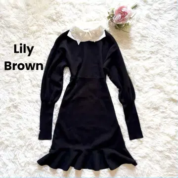 Lily Brown 릴리 브라운 컬러 니트 미니 원피스 블랙
