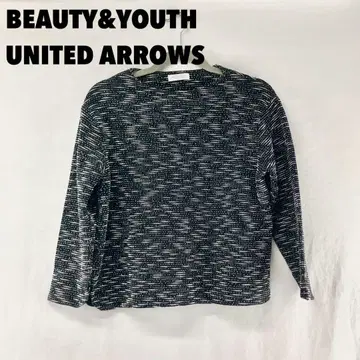 W0167T UNITED ARROWS 풀오버