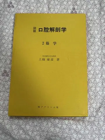 구강해부학 2 근육학
