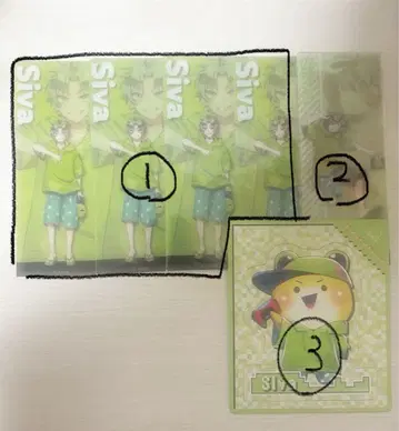카라피치 시바 묶음 판매