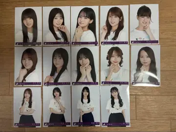 노기자카 봉입 브로마이드 묶음 판매