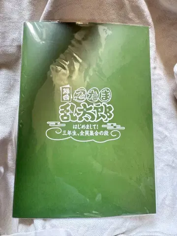 닌게키 팜플렛