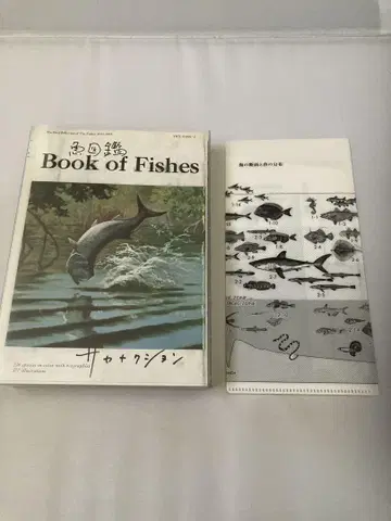 사카낙션 어도감 2CD+ 어도감 기간 한정 생산반 티켓 홀더 포함