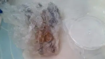 최강왕 도감 피규어 요괴최강왕 도감 오니 텐구 2종 컬러