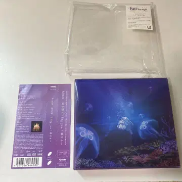 Aimer 꽃의 노래 / I beg you / 봄은 간다 특전 포함
