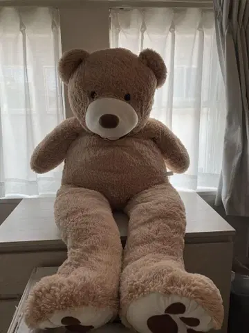 빅 사이즈 곰돌이 봉제 인형 특대형 130cm 곰 인형