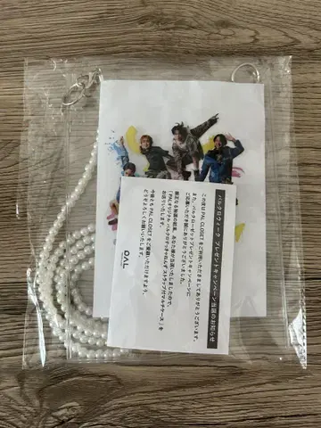 [새상품] 파루쿠로 스키야넨즈 스트랩 멀티 케이스