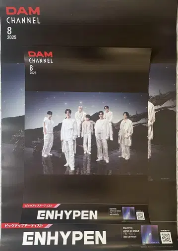 ENHYPEN DAM CHANNEL 8 2025 포스터