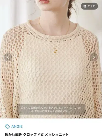 시스루 짜임 크롭 기장 메쉬 니트