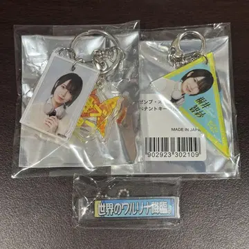 히나타자카46 젠부 오브 도쿄 와타나베 리나 아크링 키링