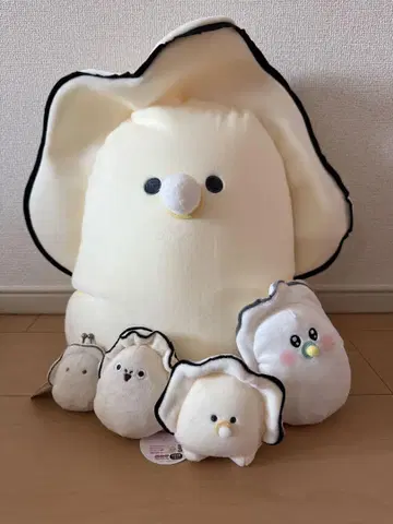 동그란 눈의 나마가키 [ 덤 포함 ]