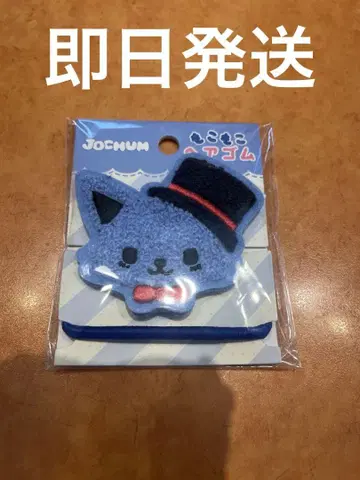 JOCHUM 레인 머리끈