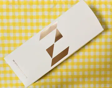 INI 응원봉 INI OFFICIAL LIGHT STICK