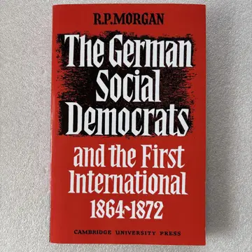 The German Social Democrats and the Firs