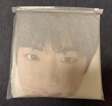 BTS JIN RUNSEOKJIN 레인코트 코얀