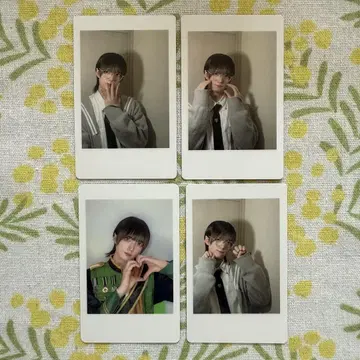 나나 크로니클 나나롤 토라 하피카