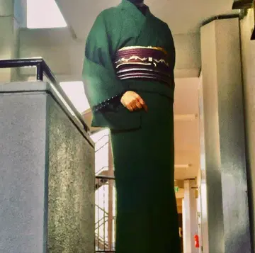 마메치요 모던 겹 기모노 그린
