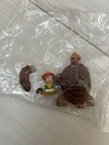 손오반, 바다거북 피규어