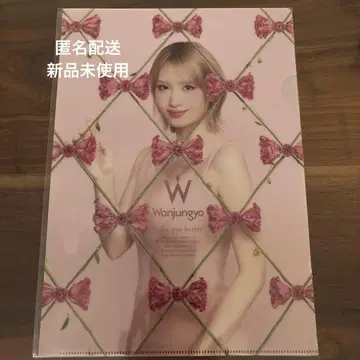 원정요 모모 TWICE 클리어 파일
