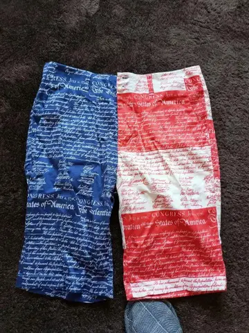 LOUDMOUTH 하프 팬츠 사이즈 34 XL 골프
