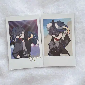 crazy raccoon CR CRfes 폴라로이드 몬도