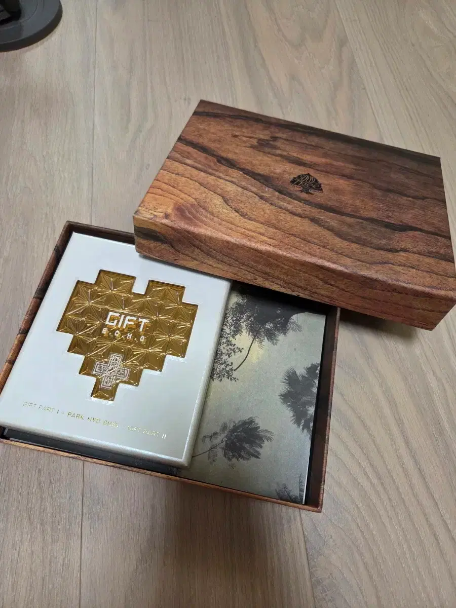 Park Hyo Shin Gift Ecco Fan Club Box Postcard Album Soultree