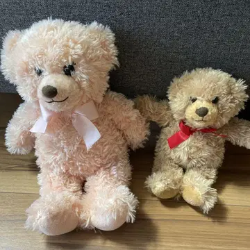 DAISO 씰 캠페인 곰 봉제 인형 2종 세트 허니 테디베어