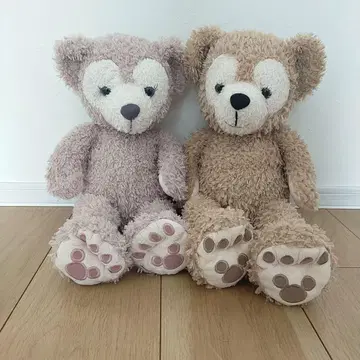 더피 & 셰리메이