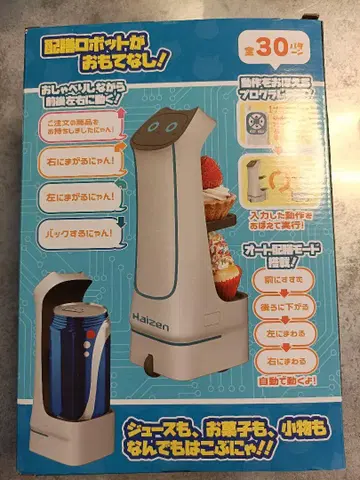 RC 배선 로봇 22cm2