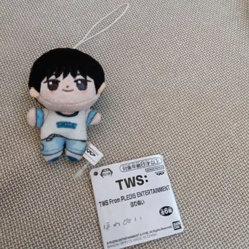 tws 호와누이 도훈