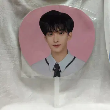 SEVENTEEN 2025 HOLIDAY DK IMAGE PICKET
