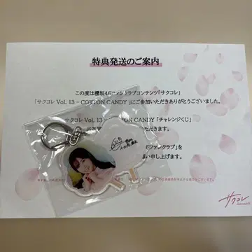 사쿠코레 오다쿠라 레이나 키링