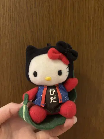 레어 지역 한정 키티 오이타 히다