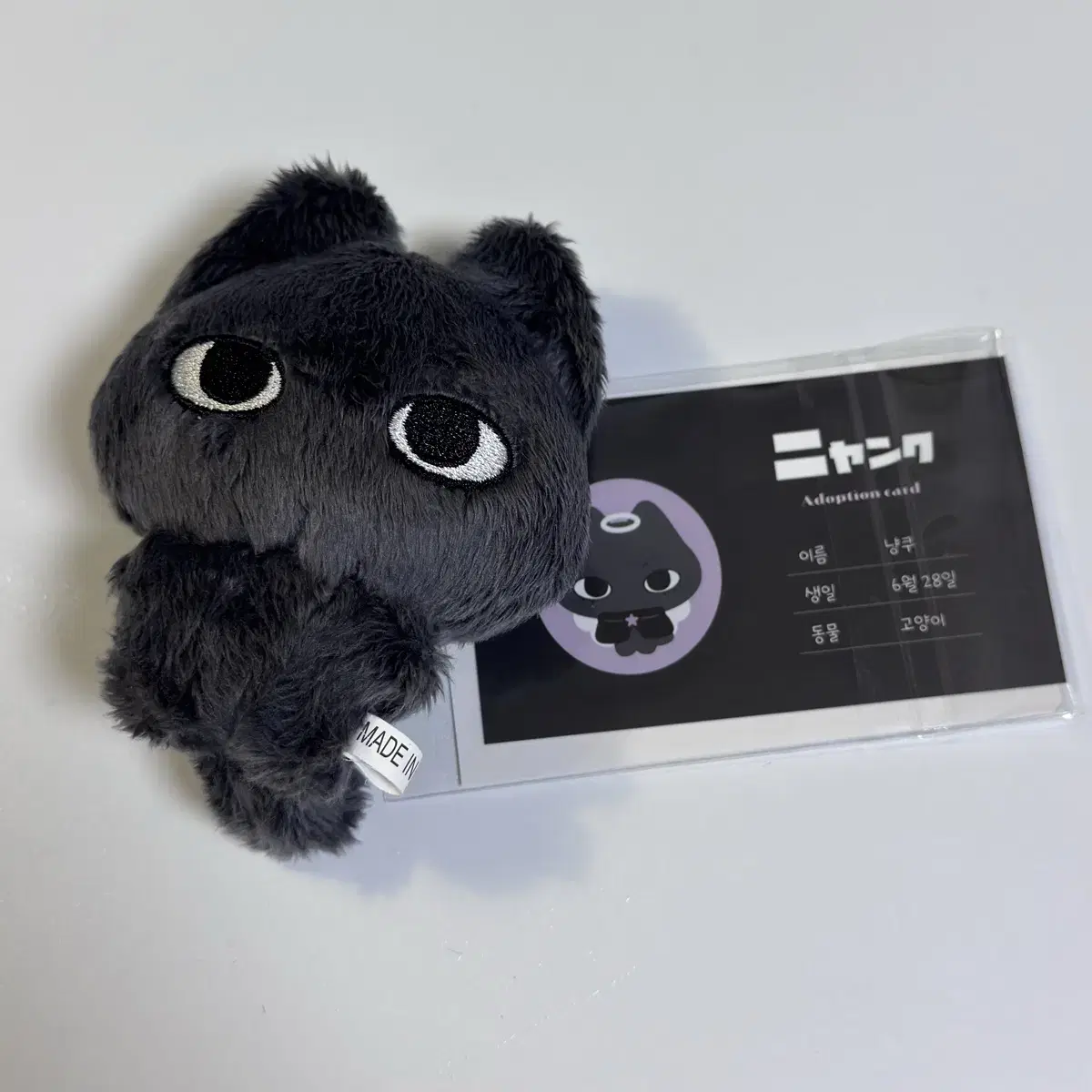 NCT WISH RIKU ぬいぐるみ NCT | 엔시티 nct wish riku doll kuri on Bunjang Global Site.