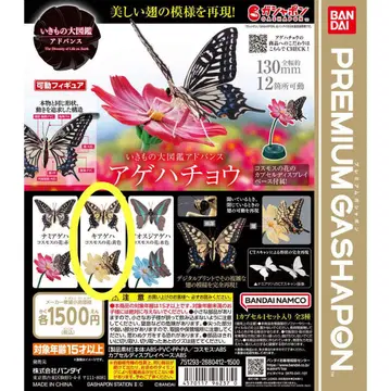 생물대도감 호랑나비 꼬리명주나비 반다이 BANDAIPREMIUM