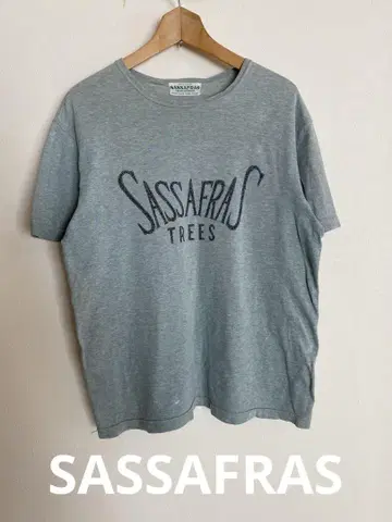 SASSAFRAS 사사프라스 연한 그린 그레이