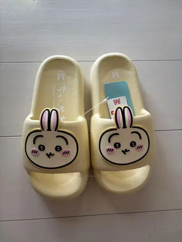 치이카와 샌들